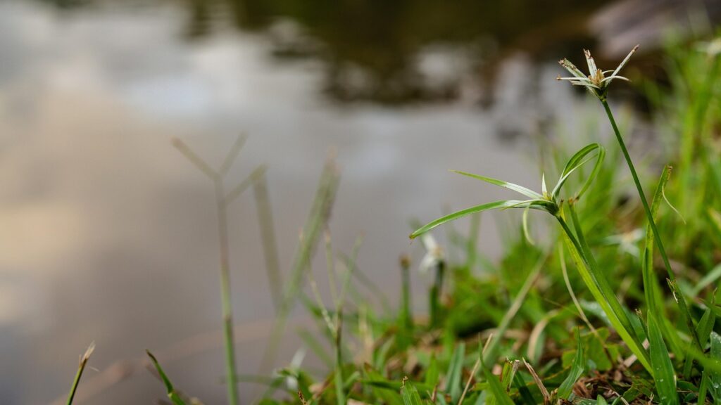言語聴覚士の転職面接で使える自己PRの例は？